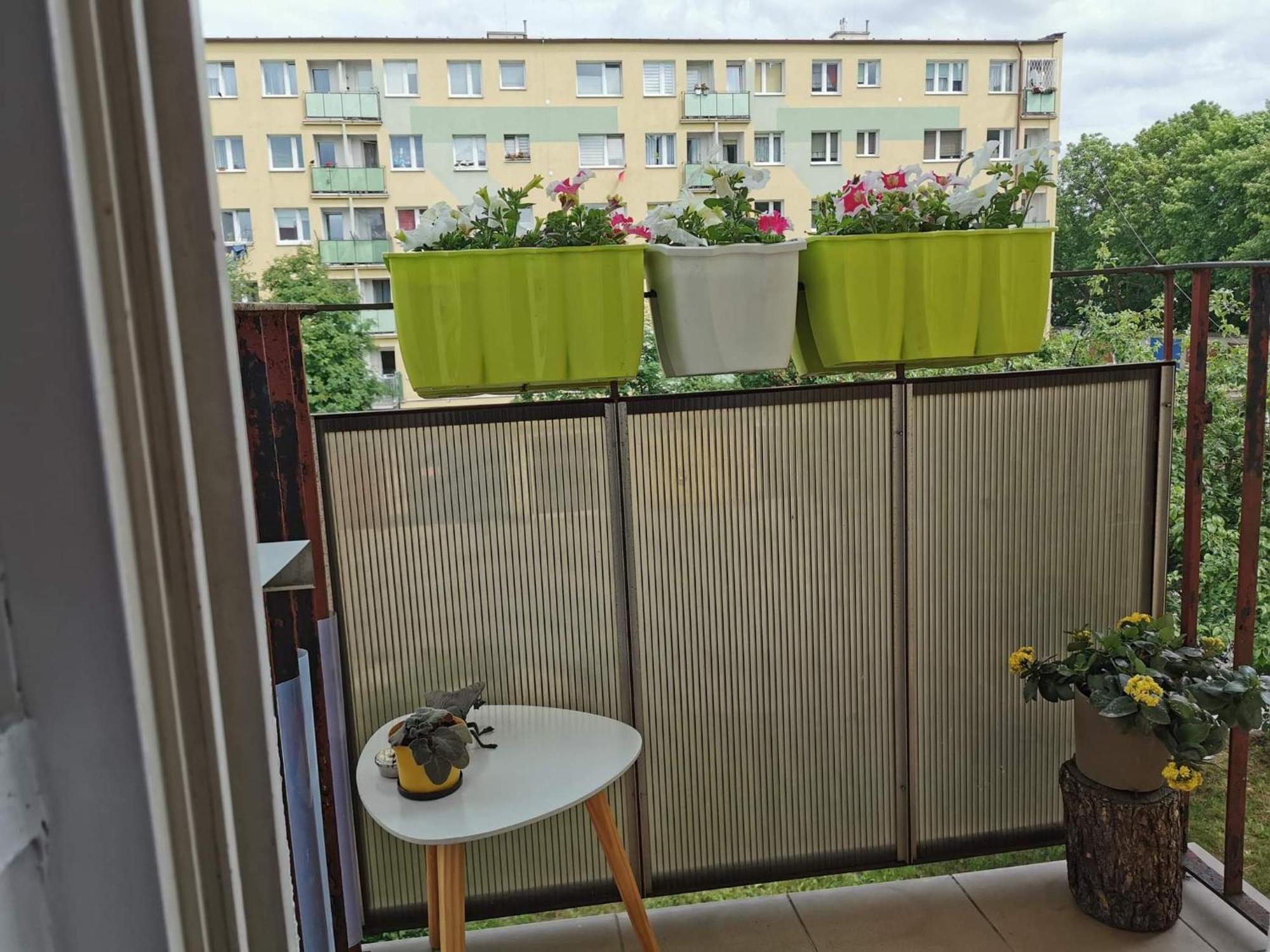 Mieszkanie Brzezno Przy Plazy Apartment Gdansk