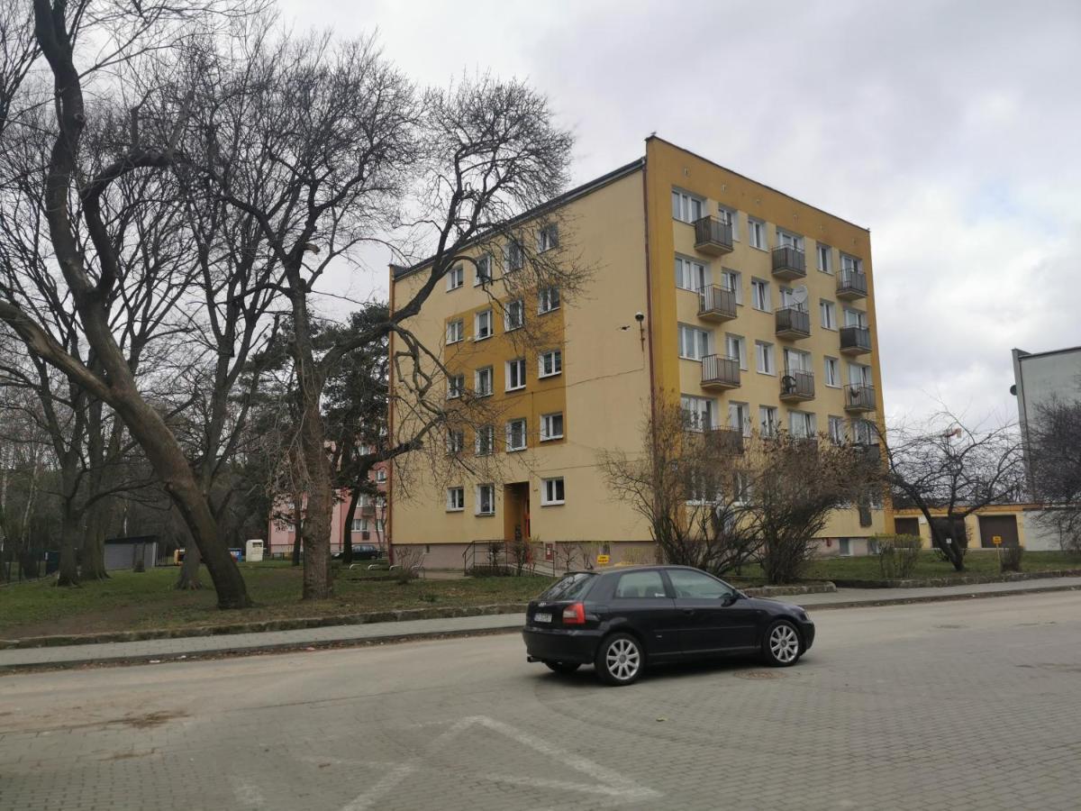 Mieszkanie Brzezno Przy Plazy Apartment *