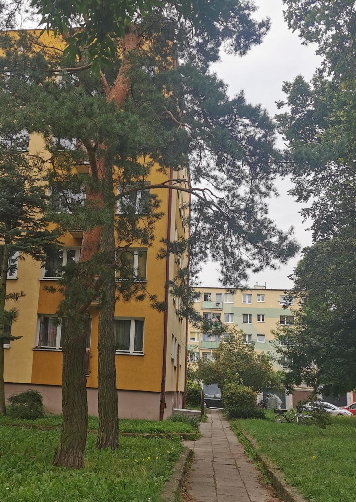 Mieszkanie Brzezno Przy Plazy Gdansk